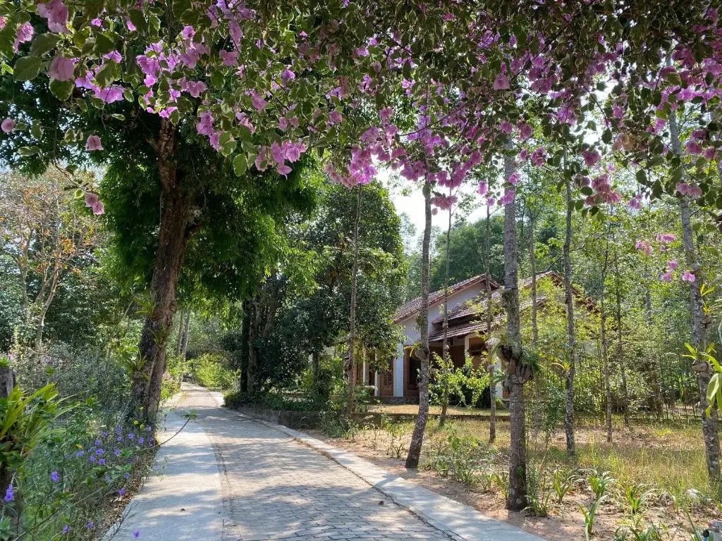 THE GARDEN HOUSE