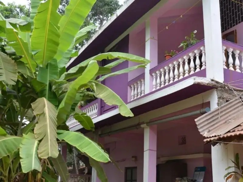 ORCHID GUEST HOUSE