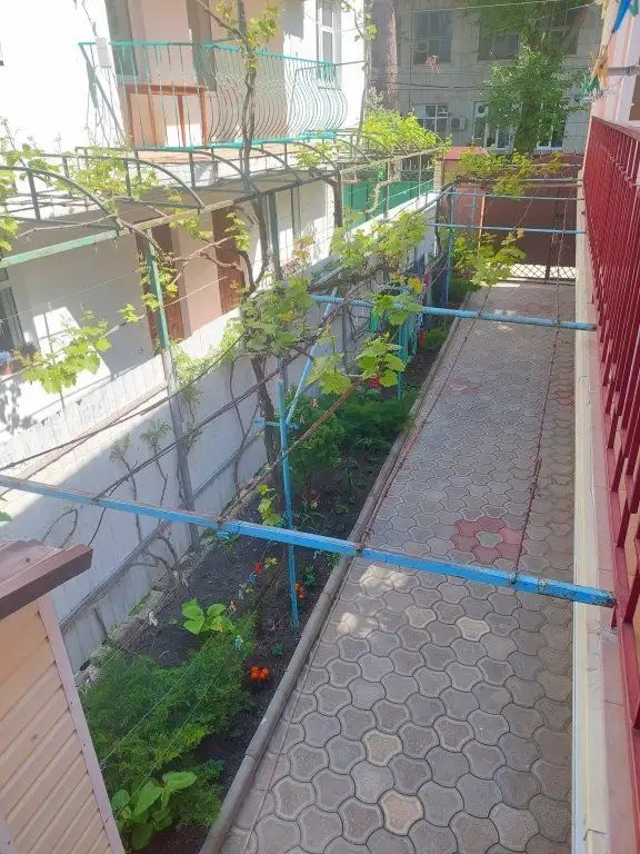 SUNNY LAND (САННИ ЛЭНД)