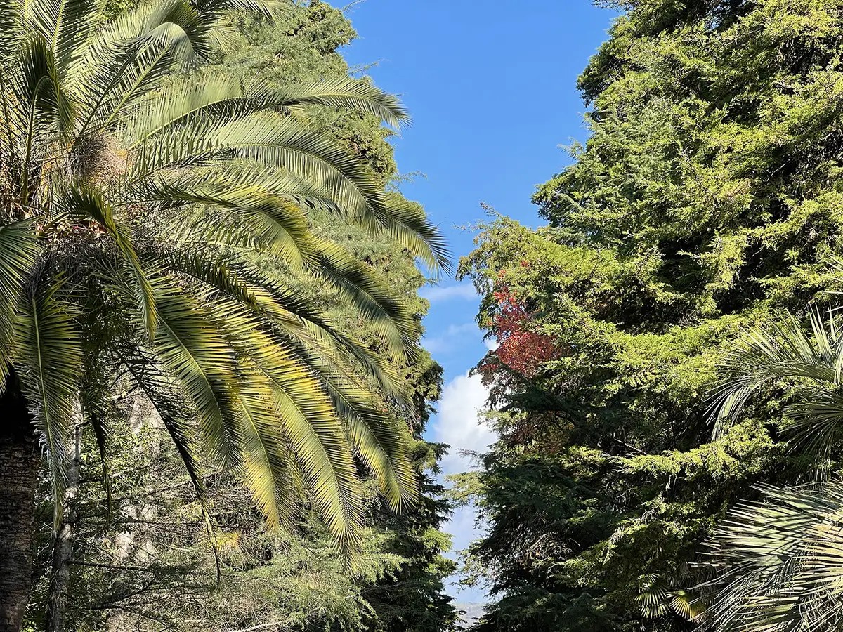 МВО СУХУМ КОРПУС БРИЗ