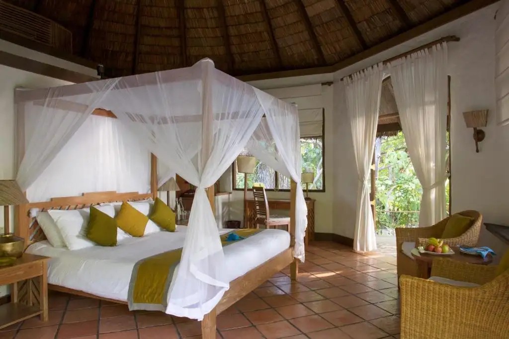 COCO PALM DHUNI KOLHU