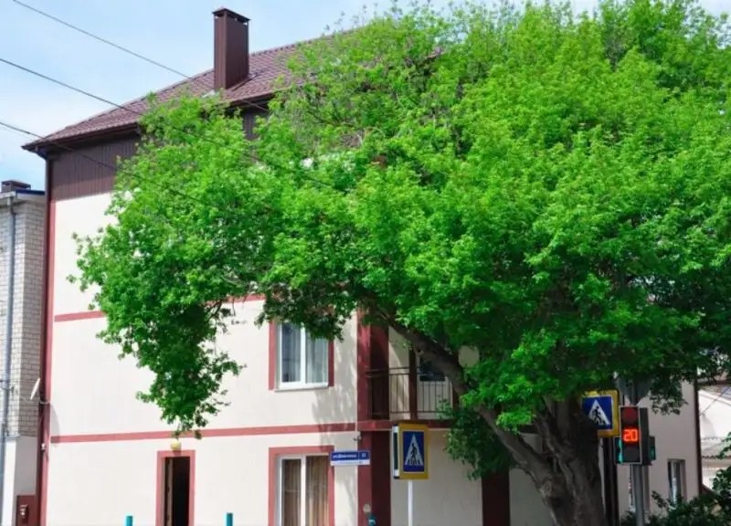 КАРИНА