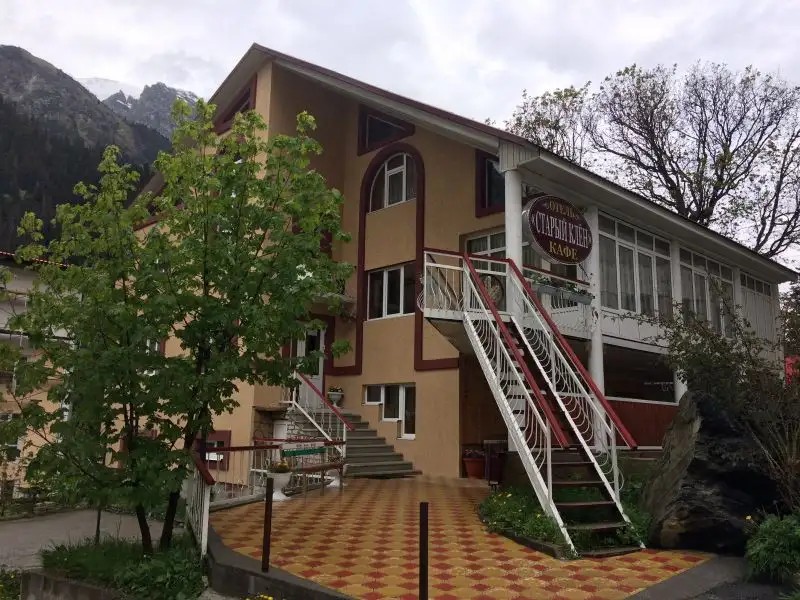 СТАРЫЙ КЛЕН