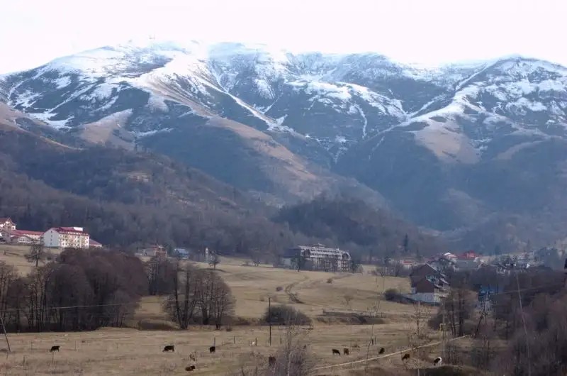 PRESTIGE BAKURIANI