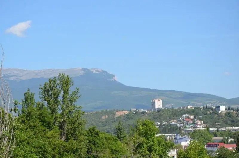 АЛВИС