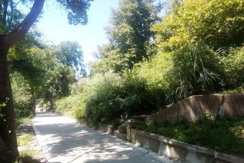 АПРА ГУДАУТА