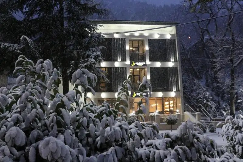 RUSTAVELI BORJOMI HOTEL