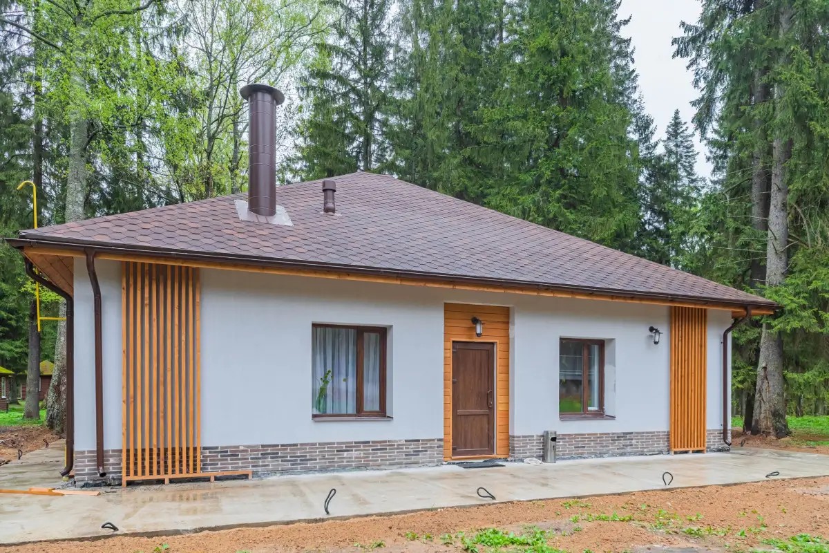 RUZA FOREST