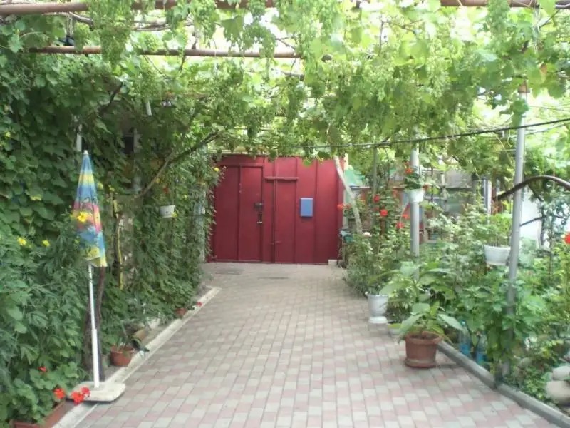 ГОСТЕВОЙ ДОМ ЯСЕНЬ
