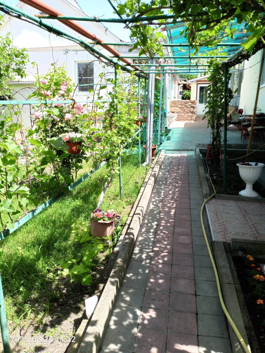 ВИНОГРАДНАЯ АЛЛЕЯ