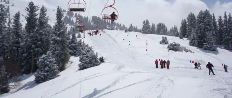 КАРАКОЛ 