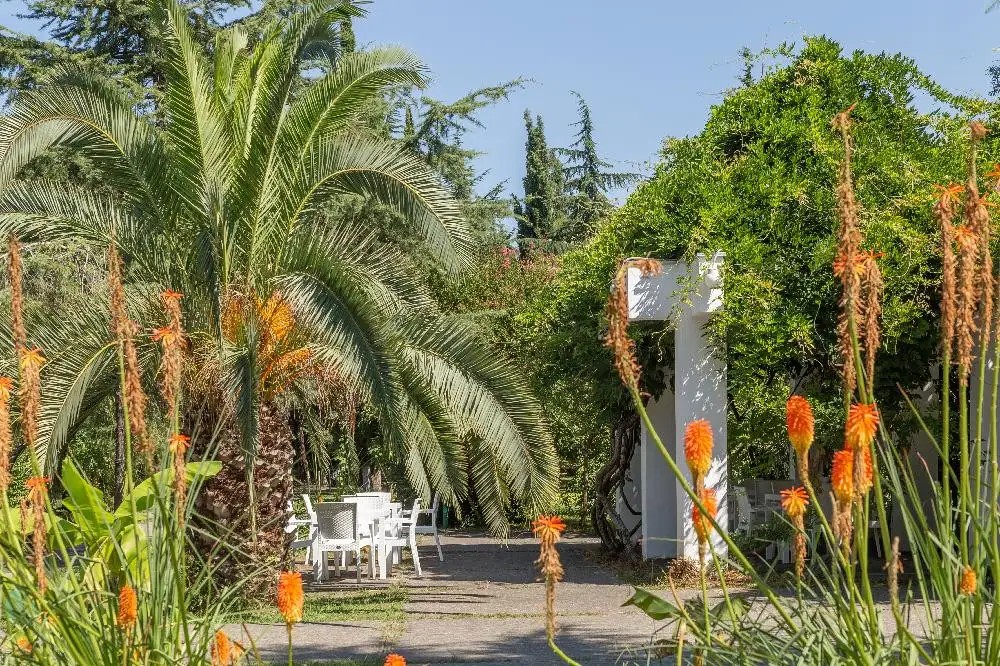 САМШИТОВАЯ РОЩА