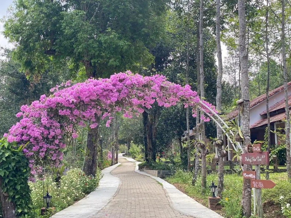 THE GARDEN HOUSE