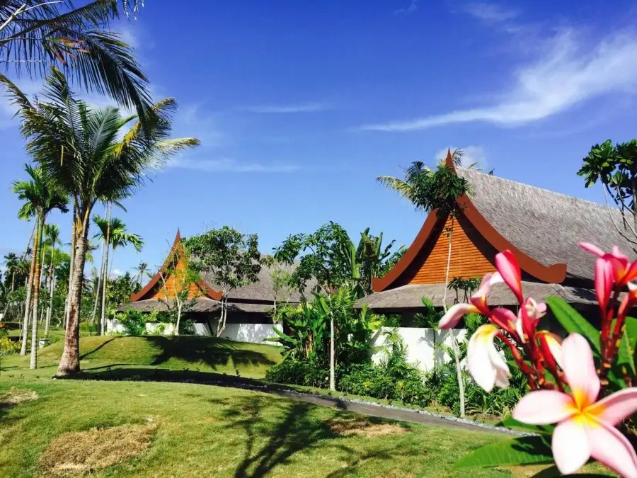THE SANCHAYA