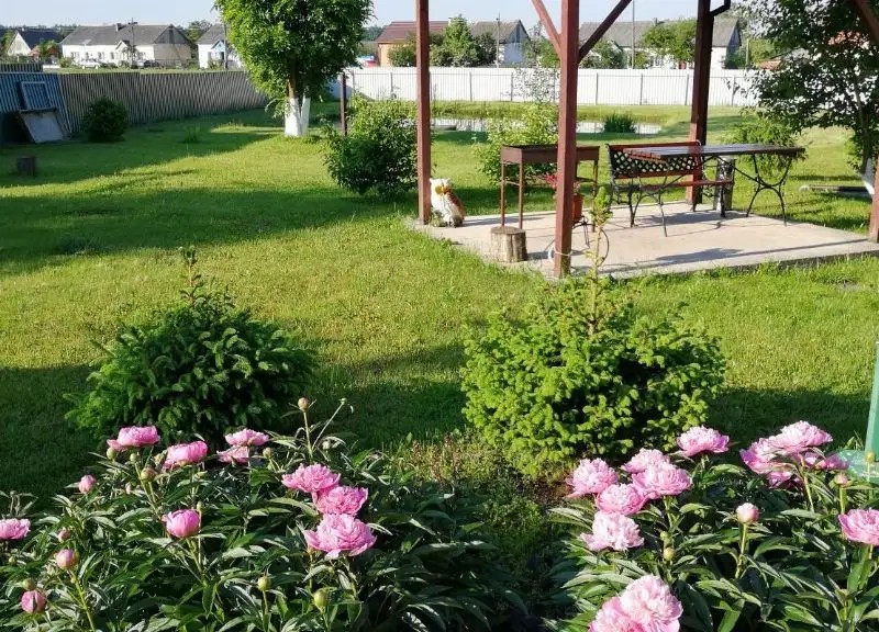 УСАДЬБА КОРОЛЕВИЧ