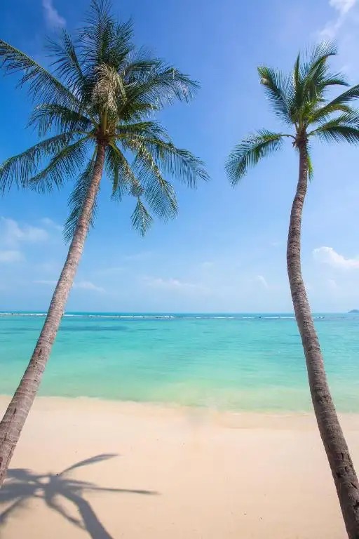 CHAWENG REGENT BEACH RESORT