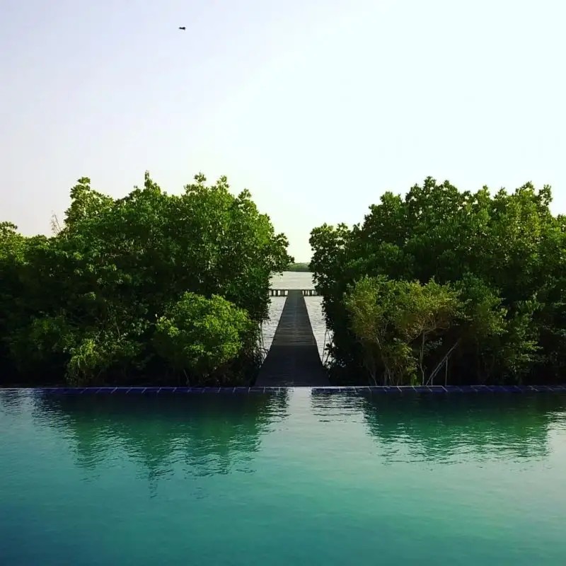 DUTCH BAY RESORT