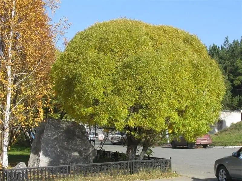 ЧИСТЫЙ КЛЮЧ