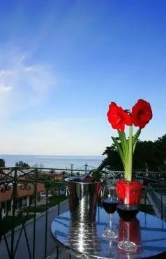 CAPTAINS HOUSE HOTEL