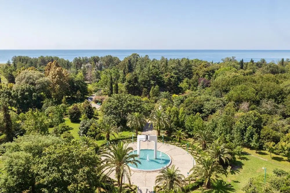 САМШИТОВАЯ РОЩА