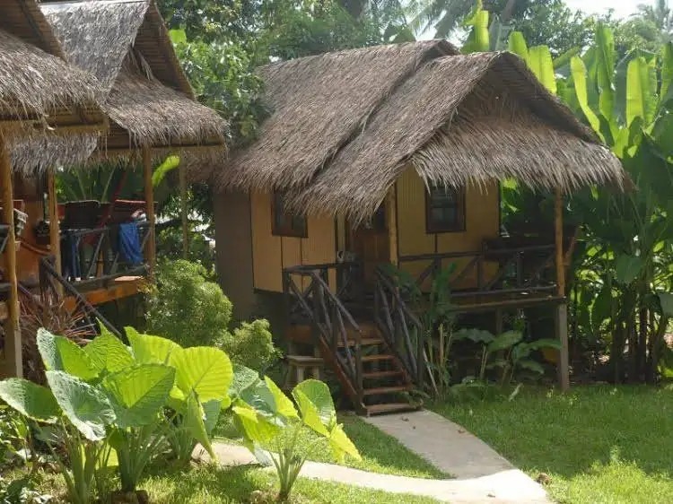 JUNGLE GARDEN