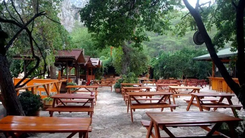 TURKMEN TREE HOUSES