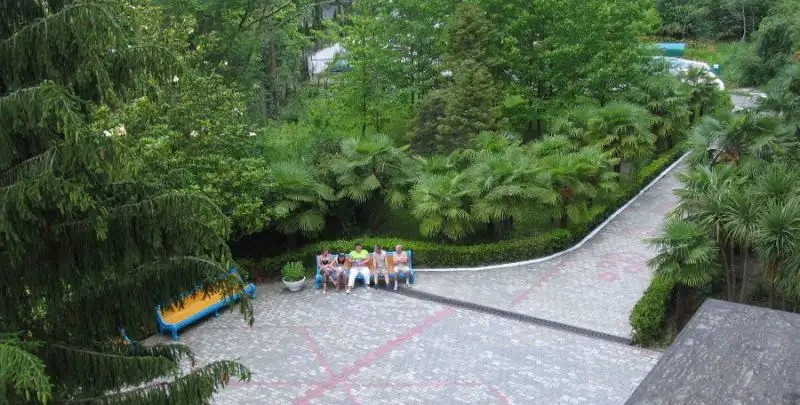 ДРУЖБА ДАГОМЫС