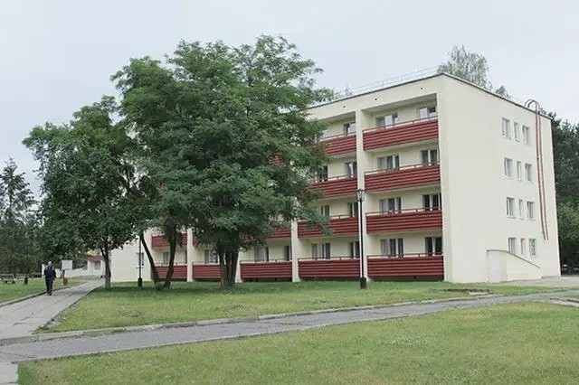 СОСНЫ