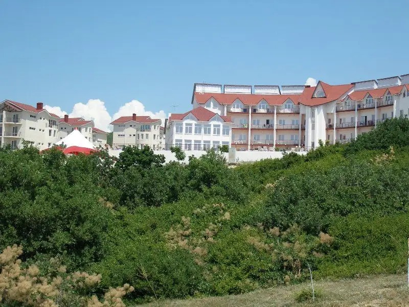 ШИНГАРИ