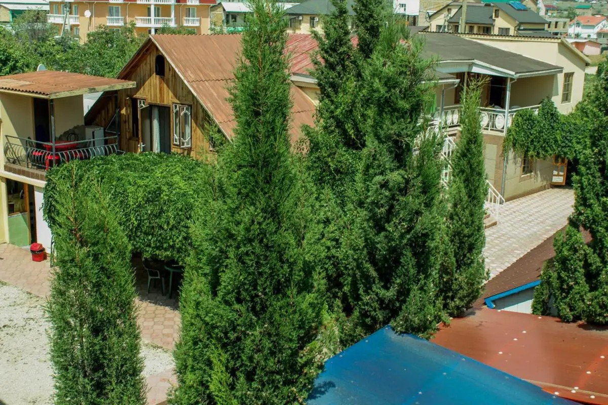 ЛАСТОЧКИНО ГНЕЗДО