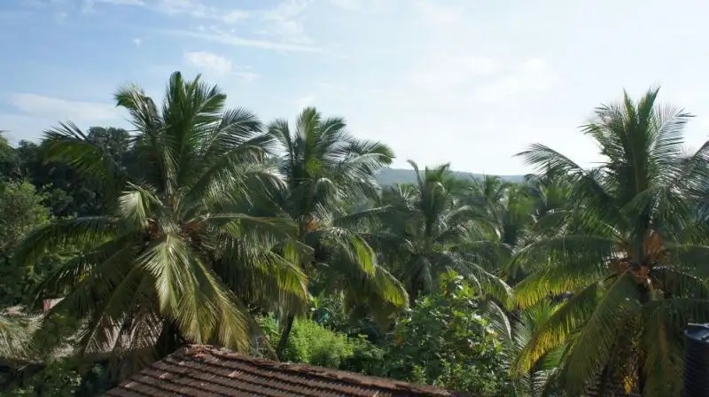 PARVATI STUDIO