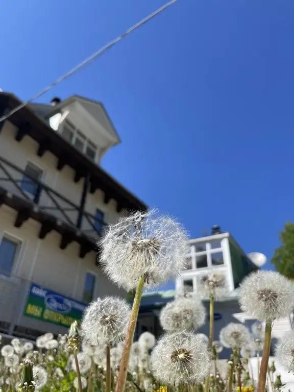 ЭРСИ