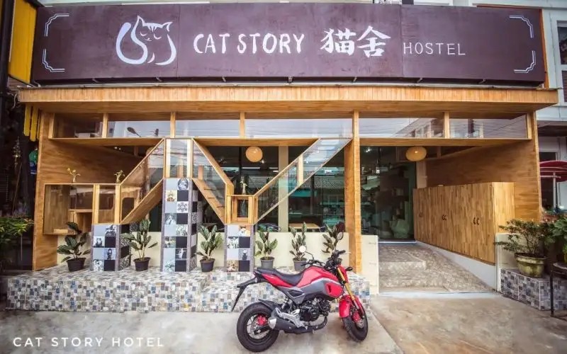 CAT STORY HOTEL