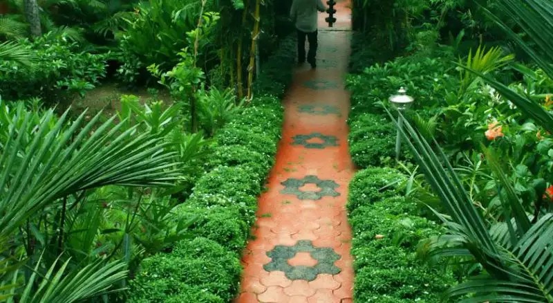 CHAKRA AYURVEDIC RESORT