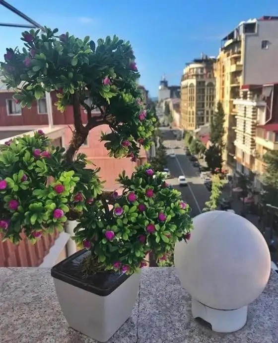 ELIO INN