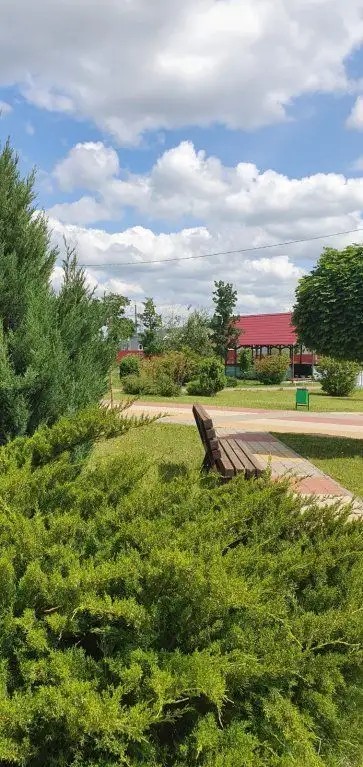 ВИК