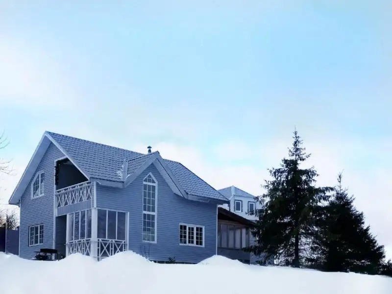 ЕЛКИ НА ГОРКЕ