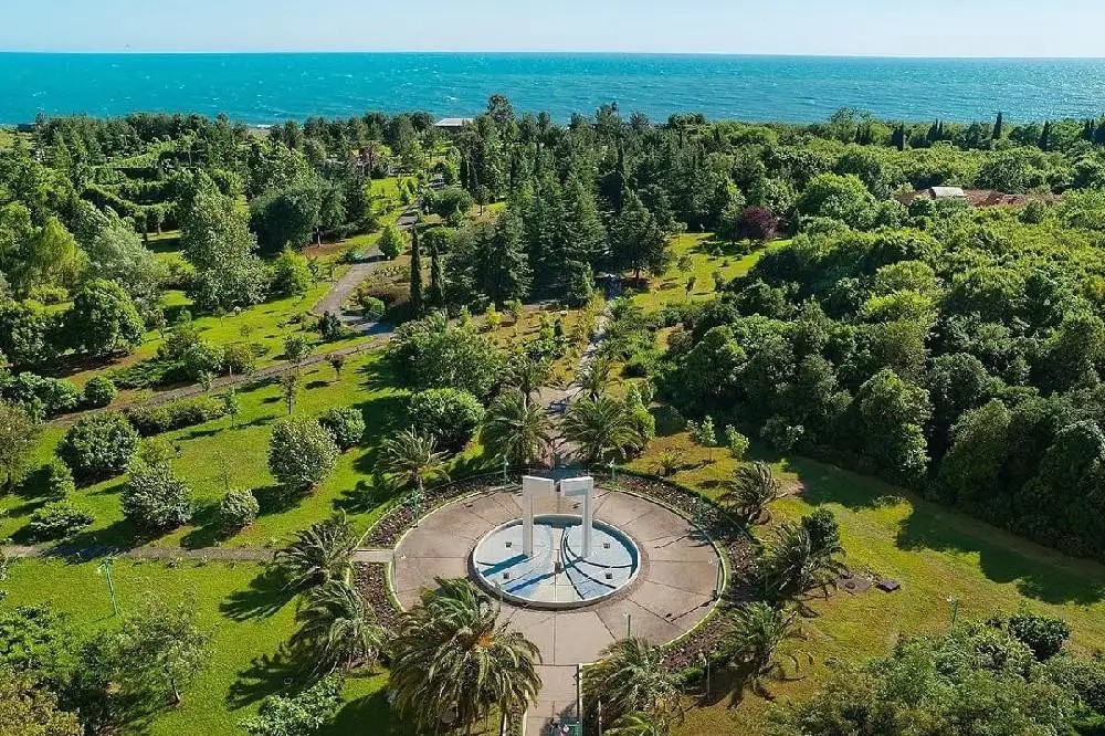 САМШИТОВАЯ РОЩА