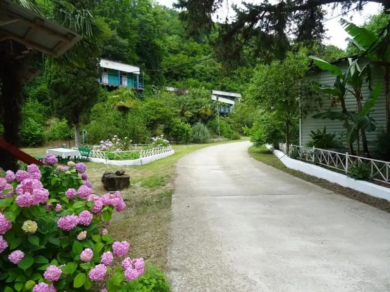 ЗОЛОТАЯ БУХТА