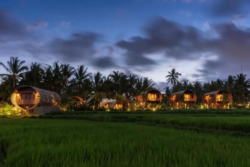 BEEHOUSE DIJIWA UBUD ADULTS ONLY 18+