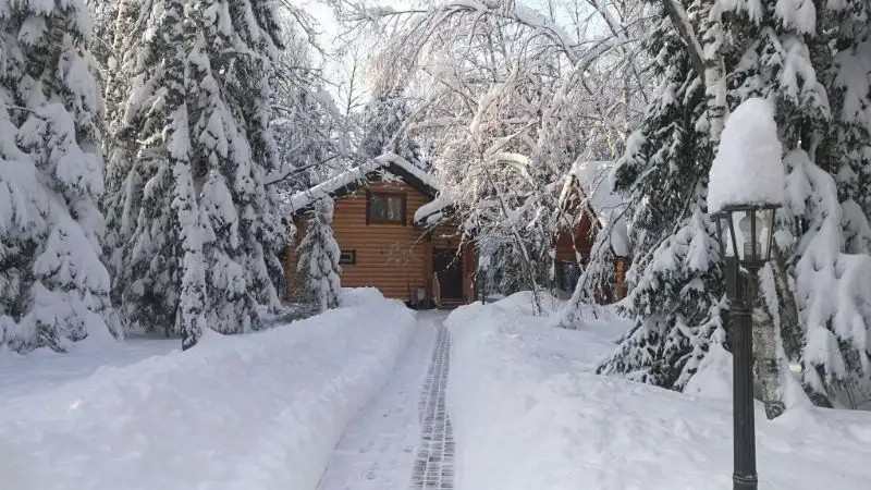 ГОСТЕВОЙ ДОМ ДИКИЙ ЛИС