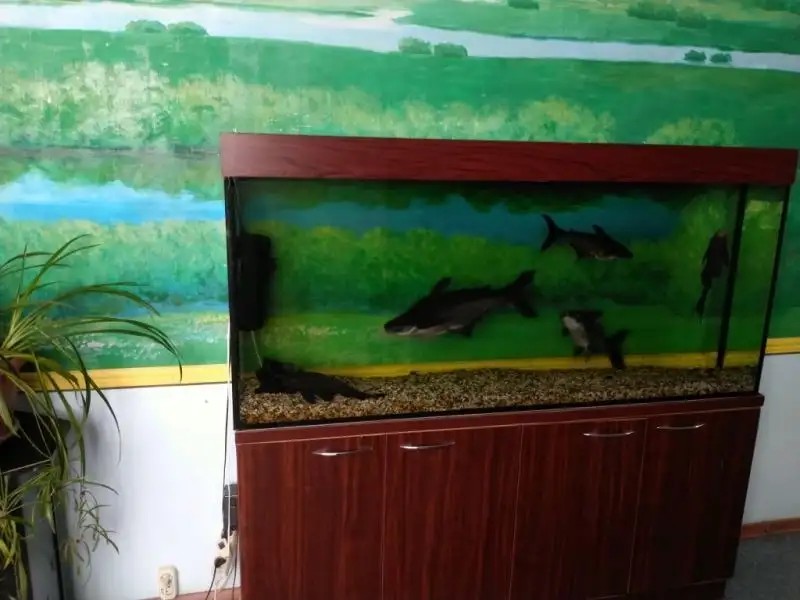 ОТЕЛЬ ЮНАС