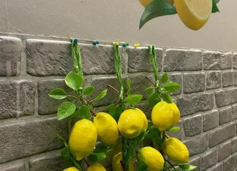 ЛИМОН НА МАРАТА
