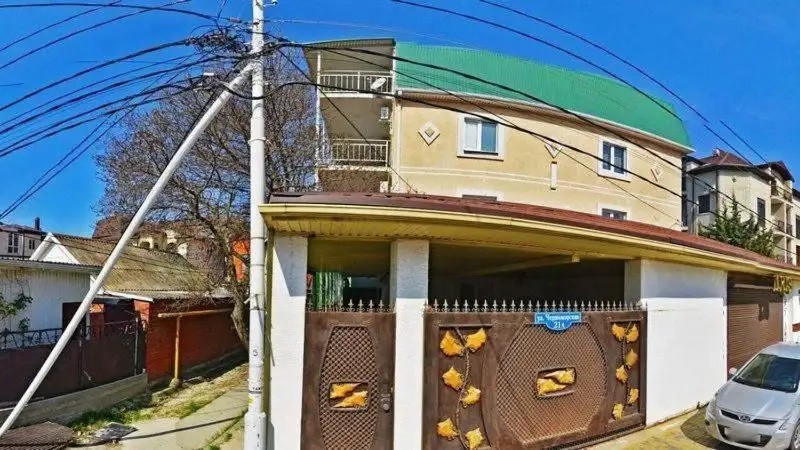 ДЕЛЬФИН НА ЧЕРНОМОРСКОЙ