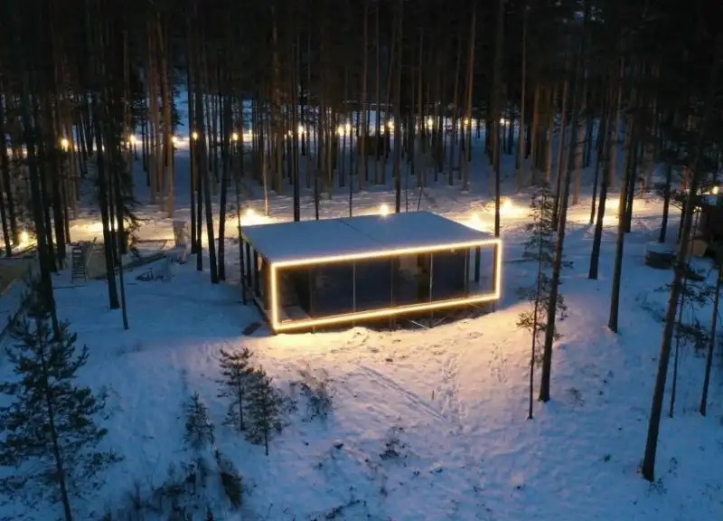 PINEWOOD (ПАЙНВУД)