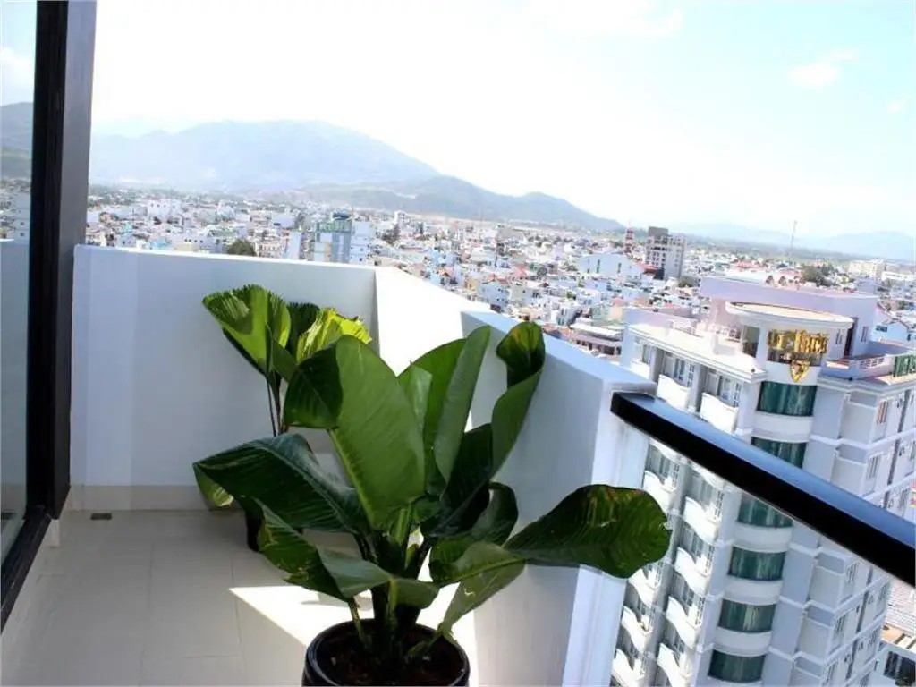 DAISY NHA TRANG