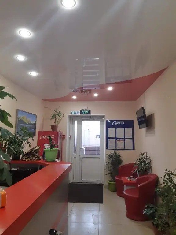 САЯНЫ