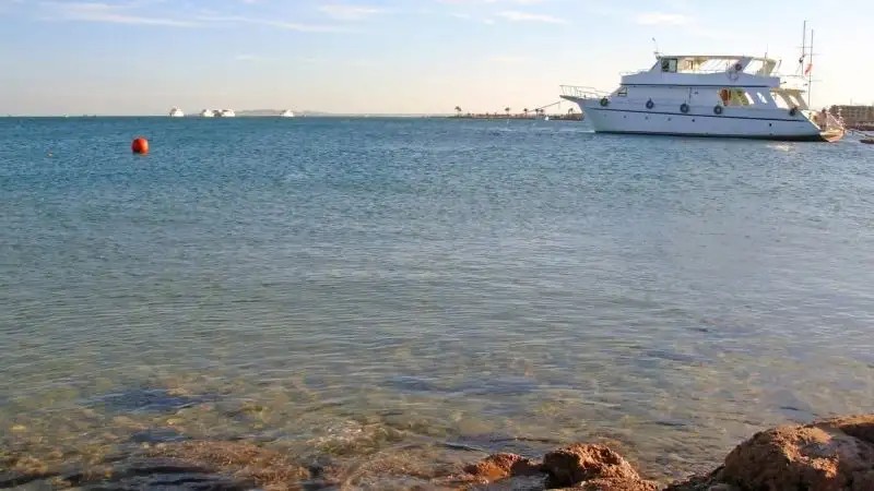 SEA GARDEN