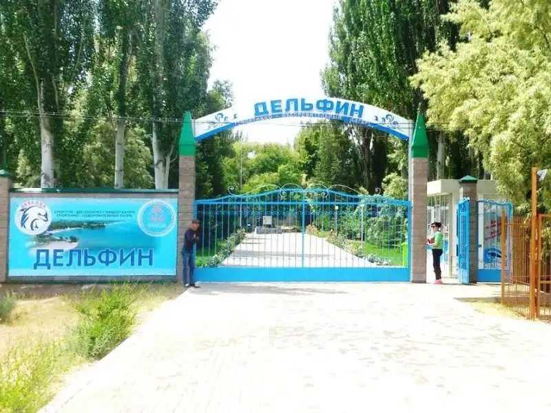 ДЕЛЬФИН ЧОК-ТАЛ