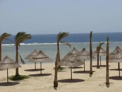 DIMA BEACH RESORT